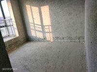 其它圖