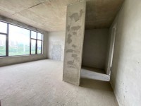其它圖