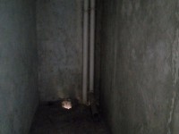 其它圖