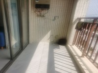 其它圖