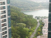 其它圖