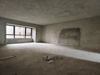 其它圖