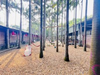 其它圖