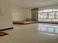 河西三鳥市場附近400元/月20㎡1室0 河西三鳥市場附近