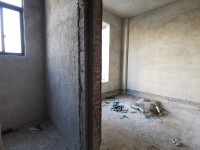 其它圖
