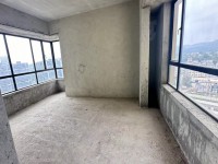 其它圖