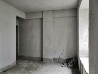 其它圖
