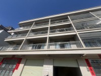 牛梗橋附近超靚5乘12建四層全新毛坯，稀 城南私宅