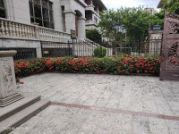 其它圖