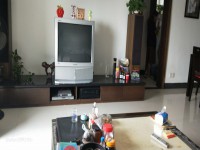 其它圖