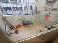 其它圖