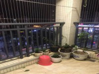 其它圖