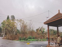 其它圖