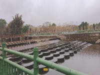 其它圖