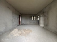 其它圖