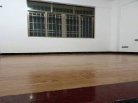 其它圖
