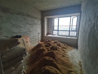 其它圖