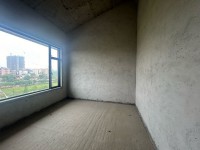 其它圖