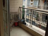 其它圖