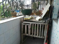 其它圖