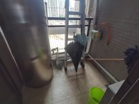 其它圖