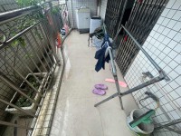 其它圖