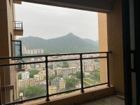 其它圖