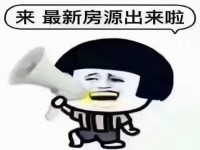 鉑金灣花園小區(qū)大復(fù)式帶兩個小車位有興趣私 中興名志鉑金灣