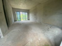 國鼎中央公園別墅 業(yè)主誠心出售 國鼎中央公園