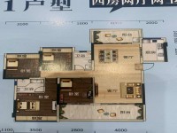 其它圖