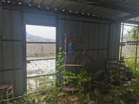滿園春附近步梯中高層精裝修送平臺大三房 寶源華庭