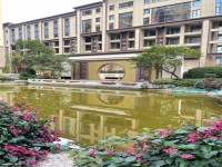 其它圖