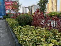 其它圖