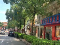 市中心商5.57乘6.53 兩層半 前面 市中心私宅