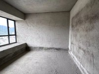 其它圖