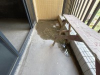 其它圖