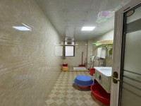 其它圖