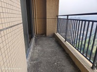 河西名樹公園旁邊電梯靚房，南向，無敵視野 綿登廣場(chǎng)