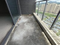 其它圖
