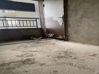 其它圖