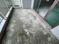 其它圖