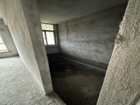 其它圖