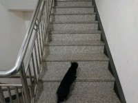 其它圖