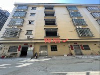 河西靚私宅占地5乘12  前9后10米 河西私宅