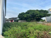 其它圖