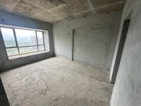 其它圖