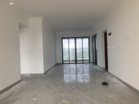 南向，一線江景，全新裝修 陽春金河灣