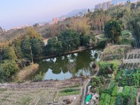 其它圖