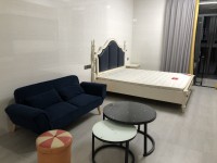 恒生壹號(hào)公寓 一房 城北新區(qū) 恒生壹號(hào)廣場