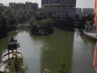 其它圖
